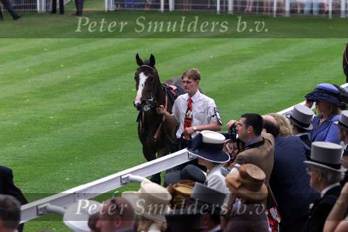 Ascot (Engeland ) 17 juni 1999
Ascot races met veel hoeden
Het paard van Koning Elizabeth