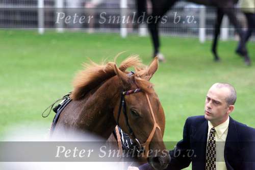 Ascot (Engeland ) 17 juni 1999
Ascot races met veel hoeden
Het paard van Koning Elisabeth