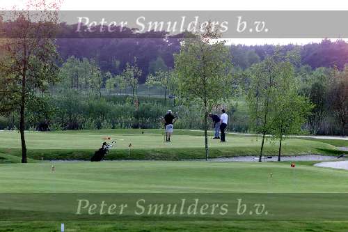 Veldhoven 11 mei 2001
Golfbaan Gendersteyn.
Green van golf 15  Golfen
