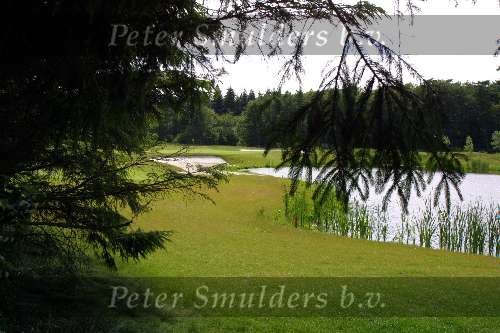Lage Vuursche golfbaan, 11 juni 2001
Golfen