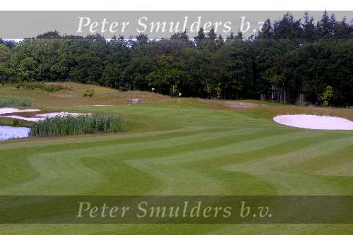 Lage Vuursche golfbaan, 11 juni 2001
Golfen