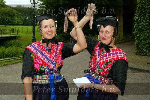 Breukelen11 juni 2002
Haringparty Neijenrode
Hollandse nieuwe
