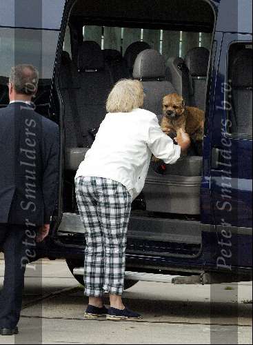 Muiden 22 juni 2003

Koningin beatrix neemt haar hondjes mee als ze gaat varen met de Groene Draeck.