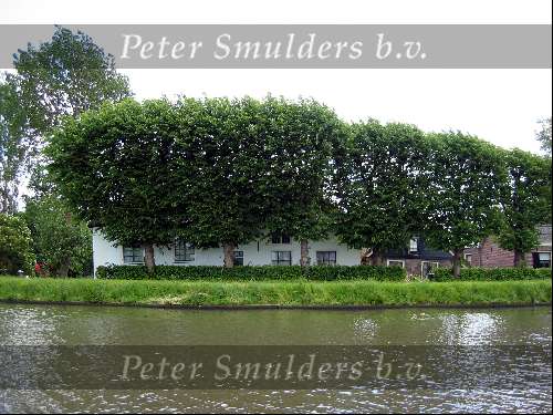 Villa aan de Vecht
Sloepentocht