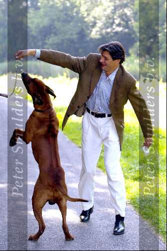 Amsterdam 25 juni 2003
Edwin de Roy v Zuydewijn met zijn hond.