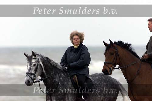 Katwijk aan zee 2 mei 2000
Koningin Beatrix te paard op het strand