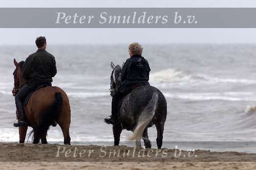 Noordwijk 5 mei 2000
Koningin Beatrix tijdens het paardrijden op het strand van Noordwijk