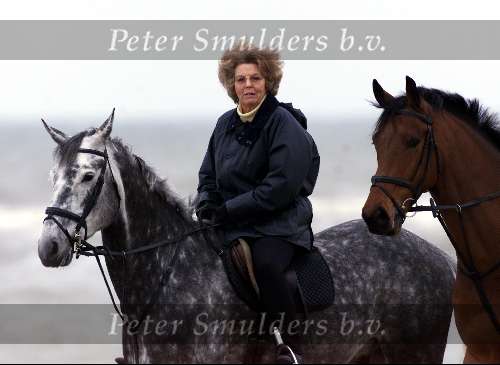 Noordwijk 5 mei 2000
Koningin Beatrix tijdens het paardrijden op het strand van Noordwijk