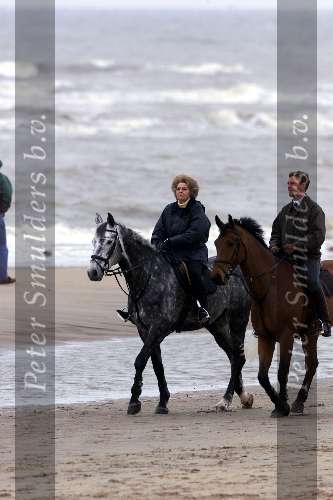 Noordwijk 5 mei 2000
Koningin Beatrix tijdens het paardrijden op het strand van Noordwijk