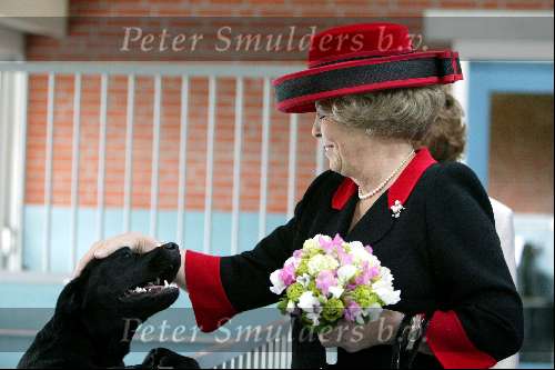 Amstelveen 14 mei 2003
Koningin Beatrix bij blindengeleidehond instituut
Labrador