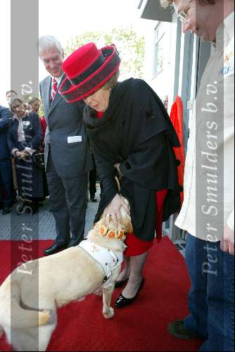 Amstelveen 14 mei 2003
Koningin Beatrix bij blindengeleidehond instituut
Labrador