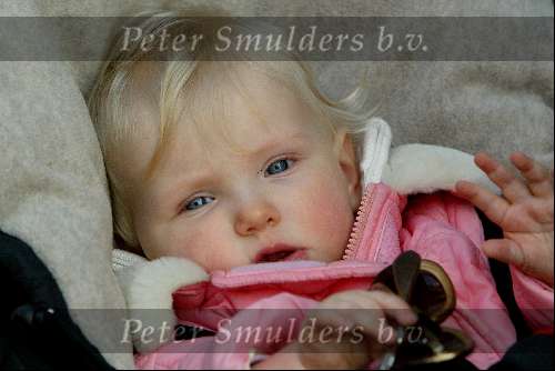 Amsterdam 24 maart 2003
Prinses Isabelle