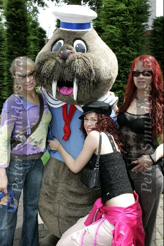 Harderwijk 28 juni 2004
Premiere show in dolfinarium.
Marlies idols Alice Idols en Irma Idols