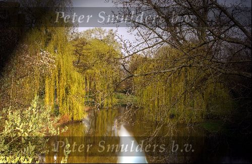 Riviertje De Dommel bij Eindhoven