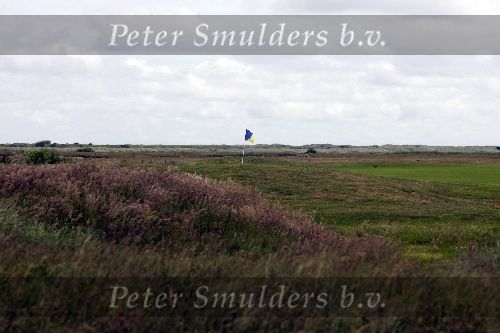 Ameland, 13 Juni 2005
Golfbaan Ameland