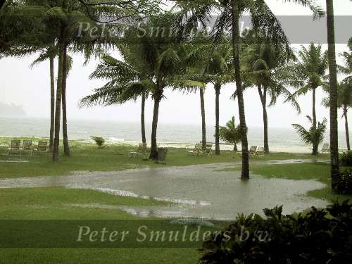 Langkawi 30 mei 2000
storm Slecht weer regen in Maleisie