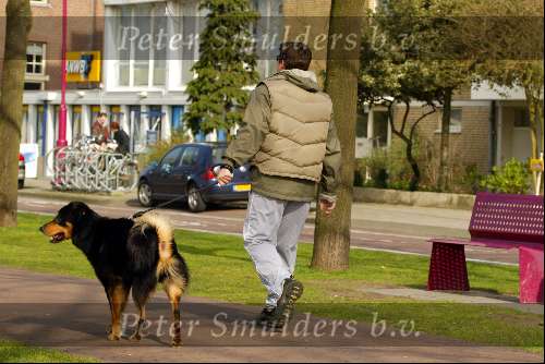 Amsterdam 16 maart 2002
Martijn Krabbe met hond