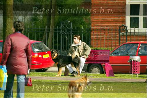 Amsterdam 16 maart 2002
Martijn Krabbe met hond