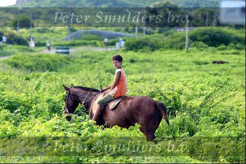 28 maart 2003 Fernando de Noronha  Brazilie 
Eiland met bergen zon strand mooie zee paardrijden
Fernando de Nolronha
