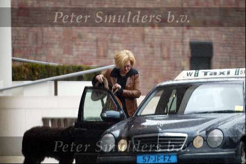 Amsterdam 8 maart 2003
Mathilde Santing met hond in taxi