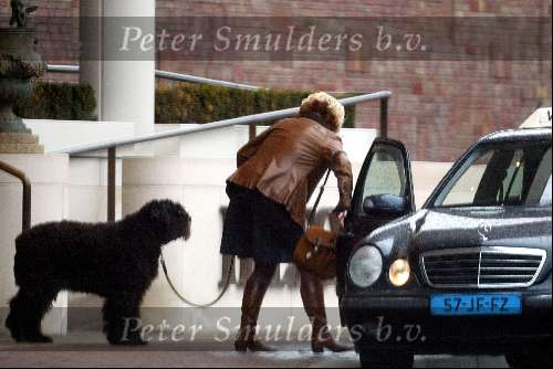 Amsterdam 8 maart 2003
Mathilde Santing met hond in taxi