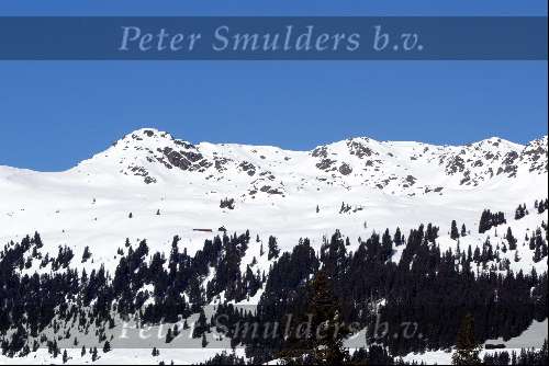 Bergen met sneeuw
Wintersport