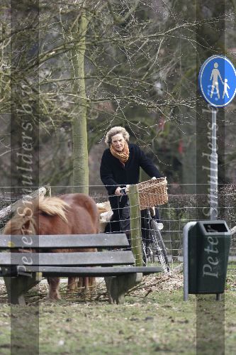 Wijk bij Duurstede 16 maart 2005
Prinses Irene op de de fiets naar de markt in Wijk bij Duurstede