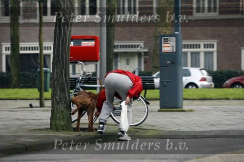 Amsterdam 22 februari 2007
Edwin de Roy v Zuydewijn is niet naar het buitenland gevlucht maar woont op dit moment
met zin hond bij zijn moeder.
Peter Smulders bv