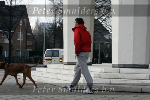 Amsterdam 22 februari 2007
Edwin de Roy v Zuydewijn is niet naar het buitenland gevlucht maar woont op dit moment
met zin hond bij zijn moeder.
