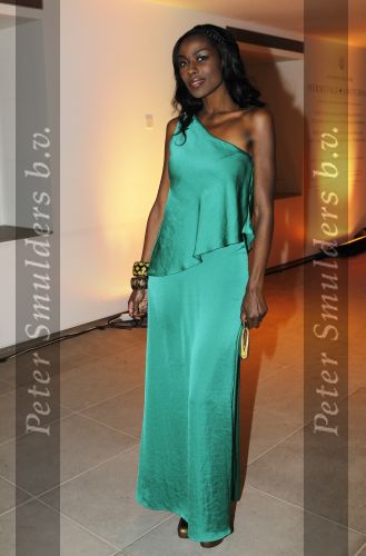 Amsterdam 15 januari 2010
Uitreiking Elle stijl award in de Hermitage. Winnares Giovanca
Peter Smulders bv
