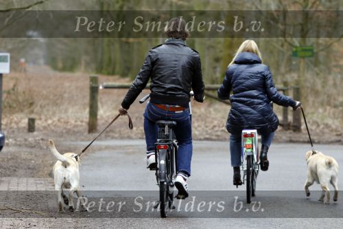 Huizen 13 maart 2010
Jeroen Rietbergen en Linda de Mol met de honden van Linda 
Peter Smulders bv