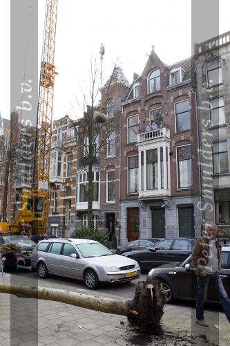 Amsterdam 9 maart 2010
Bij Nikkie Plessen is een boom uit de tuin gehaald en een nieuwe met een kraanwagen over het dak heen getilt. Dick Beyer is de tuinarchitect.
Peter Smulders bv