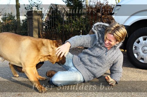 Sint Michielsgestel, 26 Januari 2010
Zanger Rene Schuurmans en zijn vrouw Monique Schuurmans en zijn honden