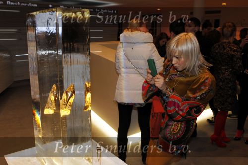 Amsterdam 15 januari 2010
Uitreiking Elle stijl award in de Hermitage. Victoria Koblenko
Peter Smulders bv
