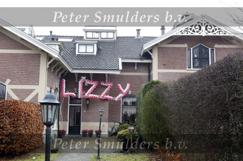 Amsterdam 25 februari 2010
Wendy v Dijk haar huis met daaraan de naam van haar dochter Lizzy in ballonnen.
Peter Smulders bv