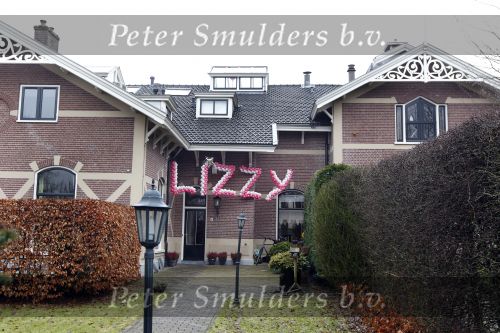 Amsterdam 25 februari 2010
Wendy v Dijk haar huis met daaraan de naam van haar dochter Lizzy in ballonnen.
Peter Smulders bv