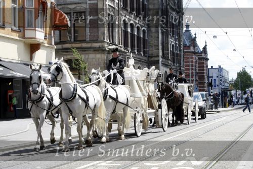 Amsterdam 12 juni 2009
Begrafenisstoet met witte paarden en witte koets.
Peter Smulders bv