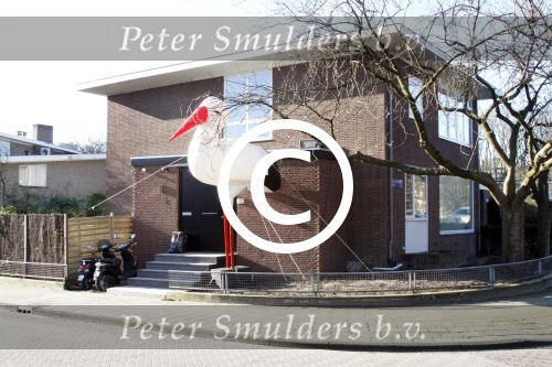 Amsterdam 2 februari 2012
Ooievaar in de tuin bij Nicolette v dam en Bas Smit.
Peter Smulders bv