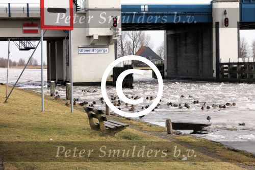 Leeuwaarden, 15 Februari 2012
Boot Holland 2012

Foto Peter Smulders BV