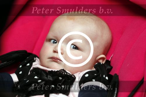Loosdrecht 21 februari 2013
Presentatie rtl5 programma Huisje boompje Barbie met Samantha de Jong Michael v d Plas en dochter Angelina bij het witte huis.
Peter Smulders bv