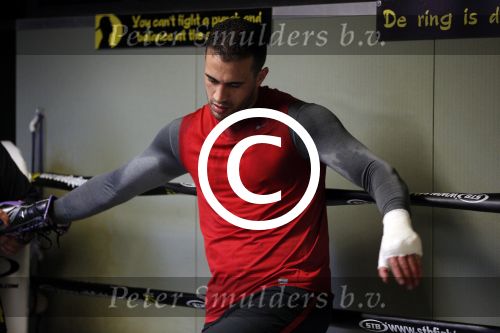 Oostzaan 11 maart 2013
Persconferentie en training Badr Hari bij Mike\'s gym.
Peter Smulders bv