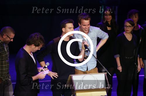 Hilversum 15 november 2012
Uitreiking van de Radio ring op het Radio Gala in theater Gooiland.

Peter Smulders bv