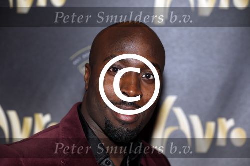 Hilversum 15 november 2012
Uitreiking van de Radio ring op het Radio Gala in theater Gooiland.

Peter Smulders bv