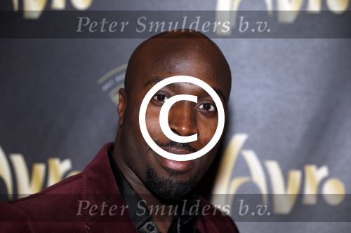 Hilversum 15 november 2012
Uitreiking van de Radio ring op het Radio Gala in theater Gooiland.

Peter Smulders bv