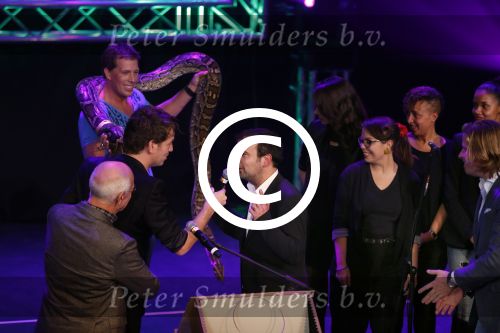 Hilversum 15 november 2012
Uitreiking van de Radio ring op het Radio Gala in theater Gooiland.

Peter Smulders bv