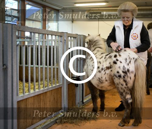 Dordrecht 15 maart 2013
Koningin Beatrix Prinses Margriet Tjalling ten Cate Prins Bernhard jr Prins Floris en Prins Bernhard jr voor NL DOET bij het Duurzaamheidscentrum  center) Weitzigt in Dordrecht.
Peter Smulders bv