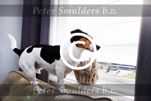 Alphen aan de Rijn 28 februari 2015
Binnen kijken in het huis van Thomas Berge en Myrthe Mylius en zoontje Jack.