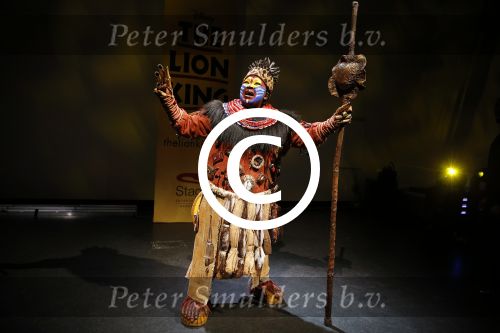 Amsterdam 16 februari 2016 
Presentatie van de Lion king in het stedelijk museum door Albert Verlinde en irene Moors.