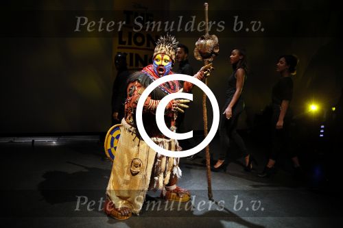 Amsterdam 16 februari 2016 
Presentatie van de Lion king in het stedelijk museum door Albert Verlinde en irene Moors.