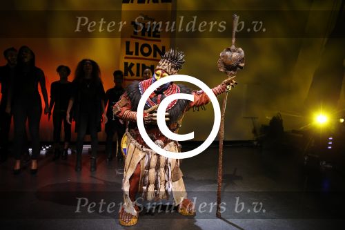 Amsterdam 16 februari 2016 
Presentatie van de Lion king in het stedelijk museum door Albert Verlinde en irene Moors.